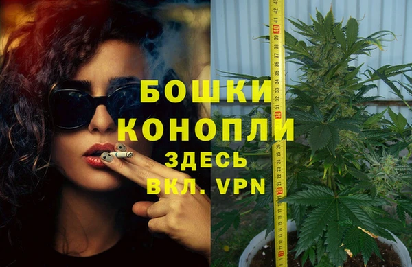 крисы Россошь