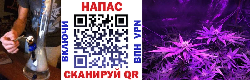 Марихуана конопля  Приозерск 